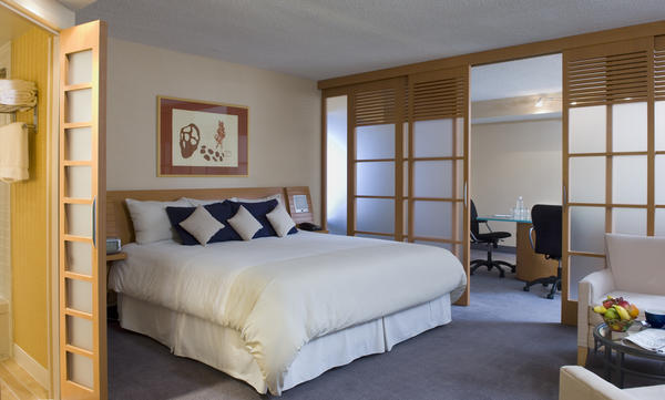 Novotel Ottawa Hotel