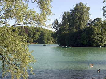 Mercure Lyon Beaux Arts RecreationalFacilty
