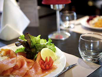 Ibis Vannes