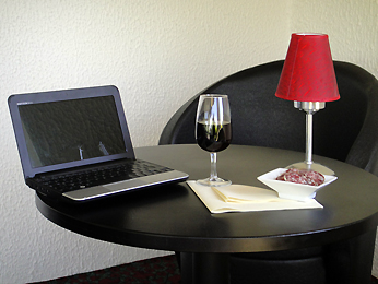 Ibis Vannes