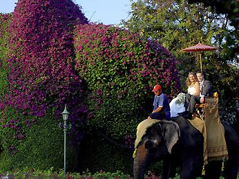 Sofitel Central Hua Hin Resort