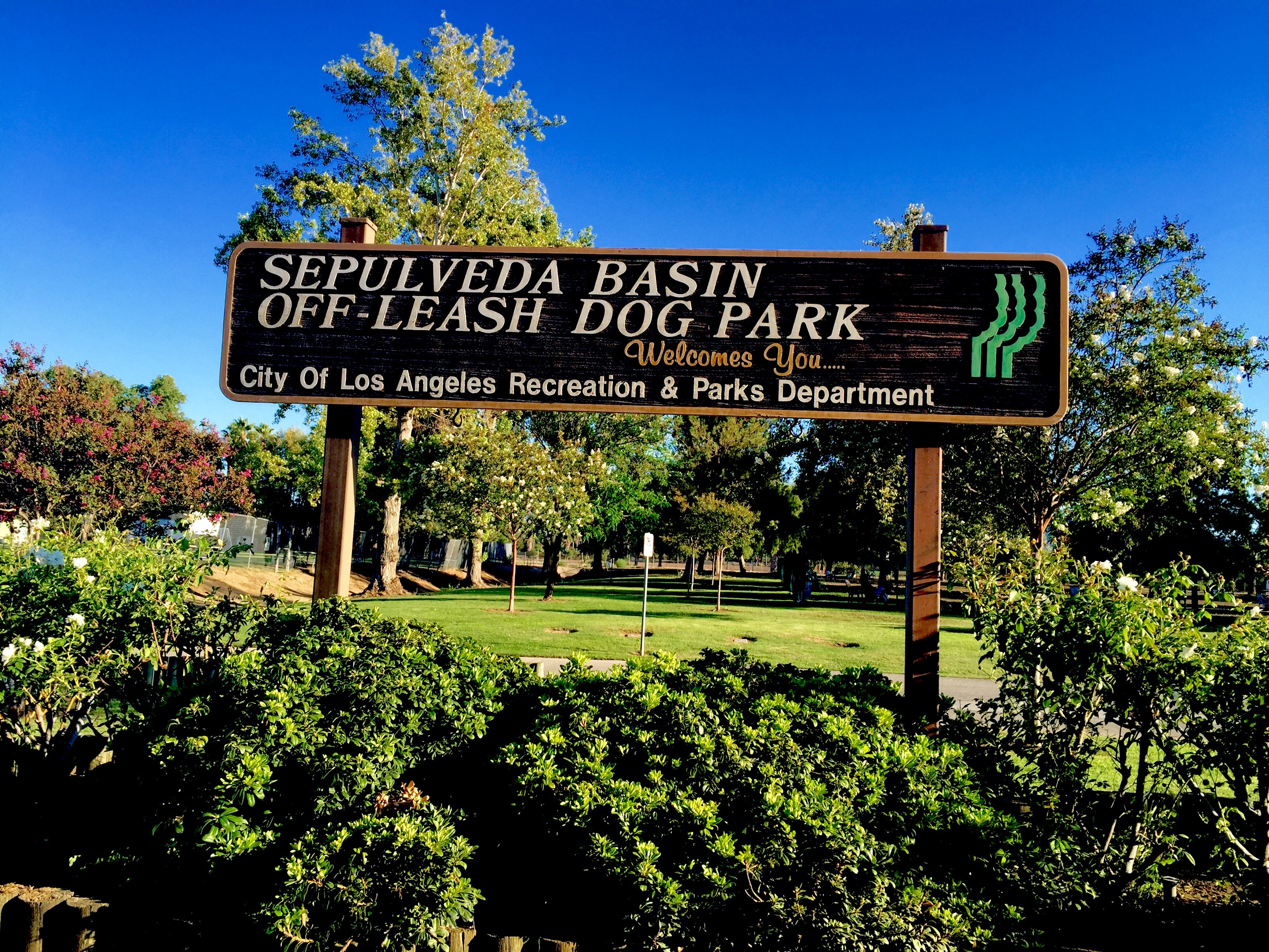 best western dog friendly