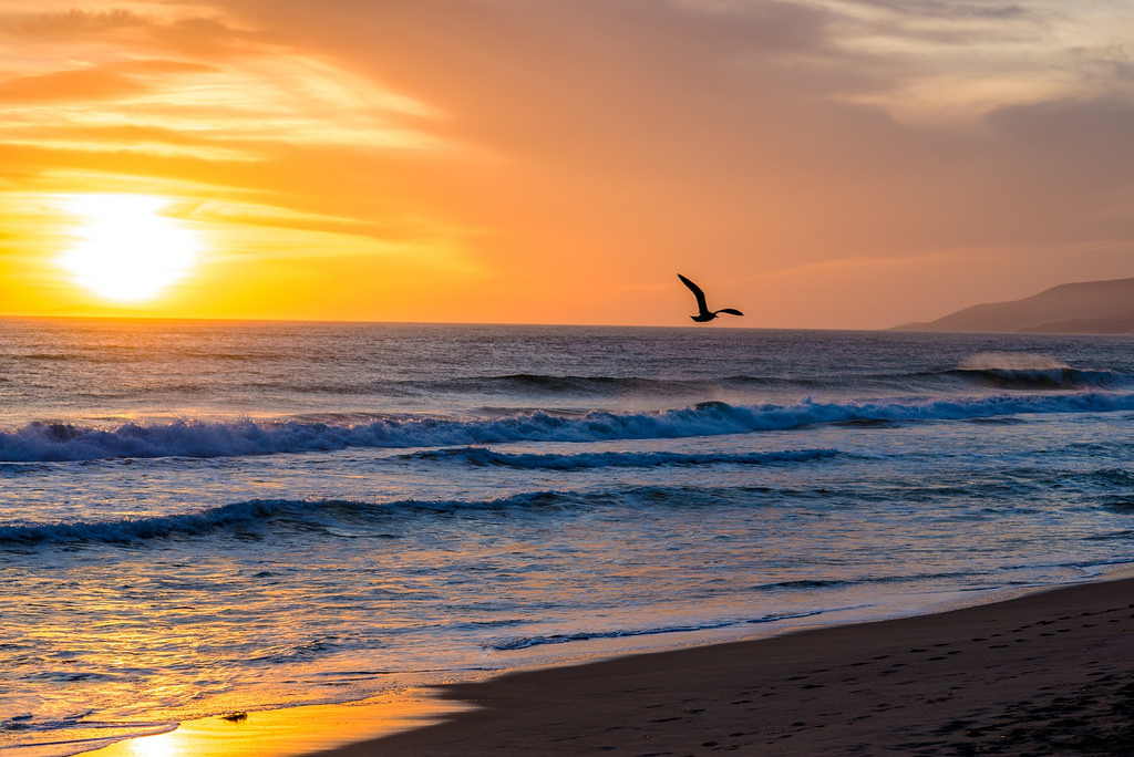 Zuma Beach Malibu - Definitive site of the Zuma Beach