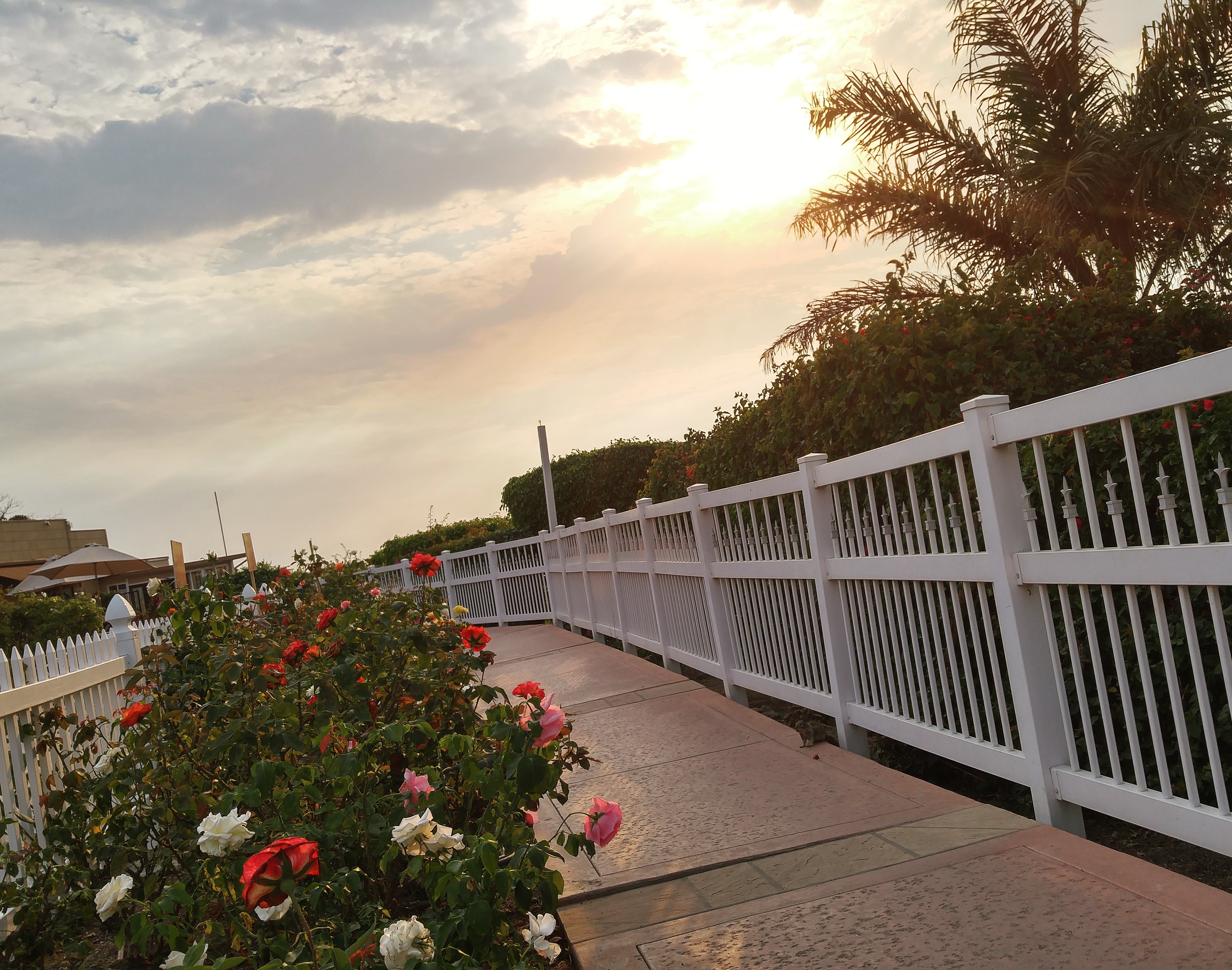 Malibu Weddings On The Beach Malibu Country Inn