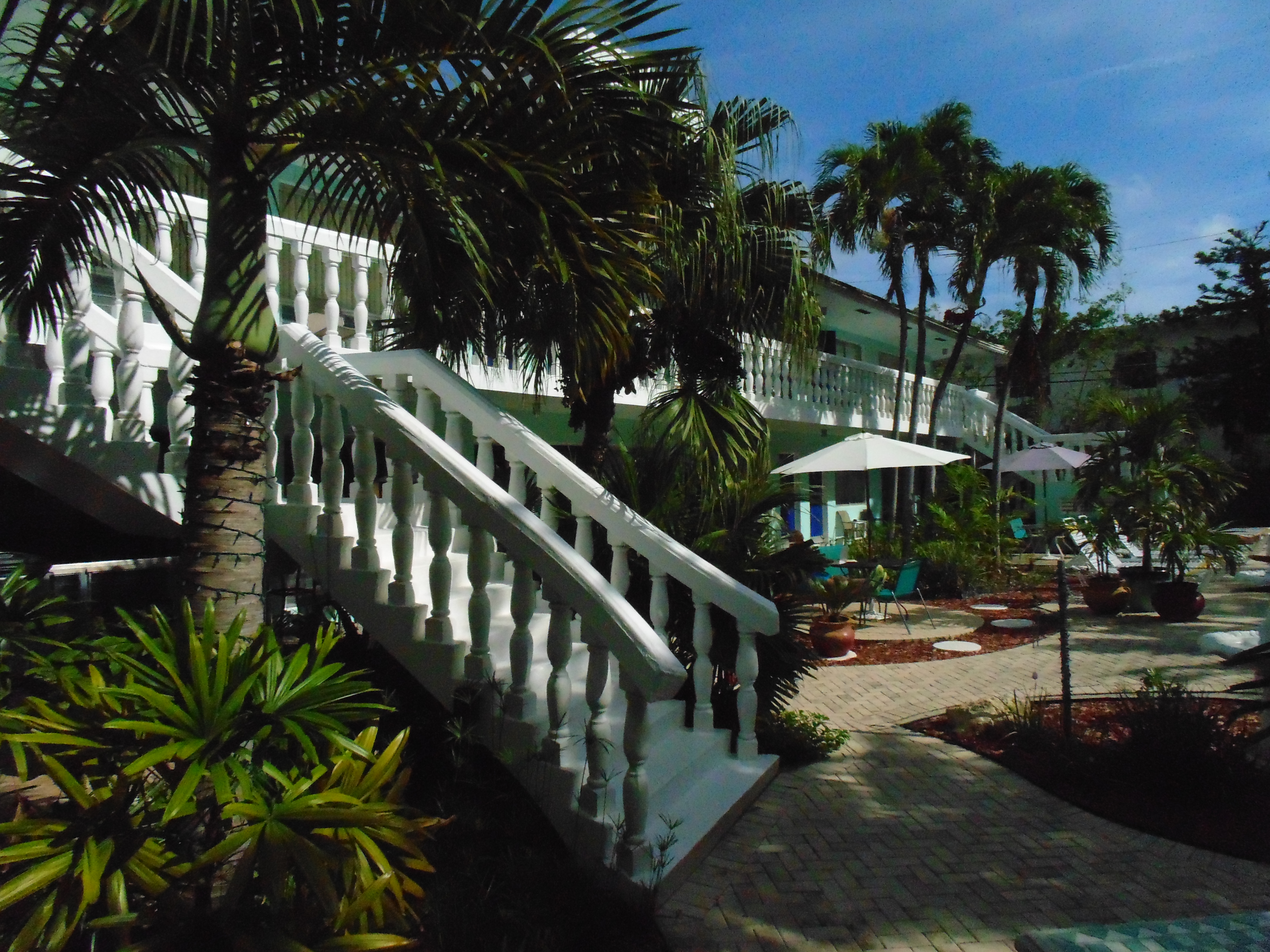 Gay Resort Lauderdale Photos Cheston House Beach Resort