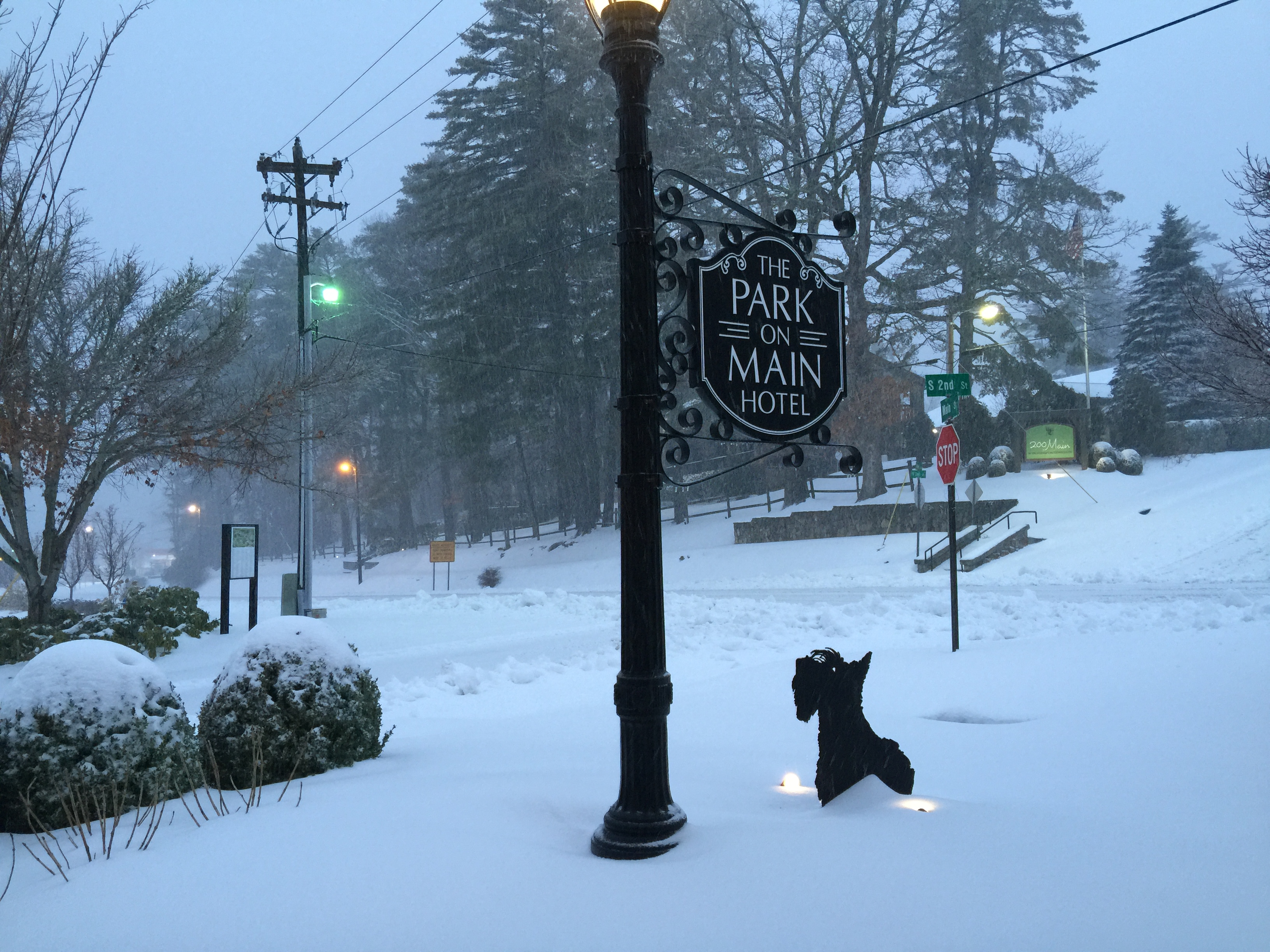 Dog Friendly Hotel in Highlands NC The Park on Main