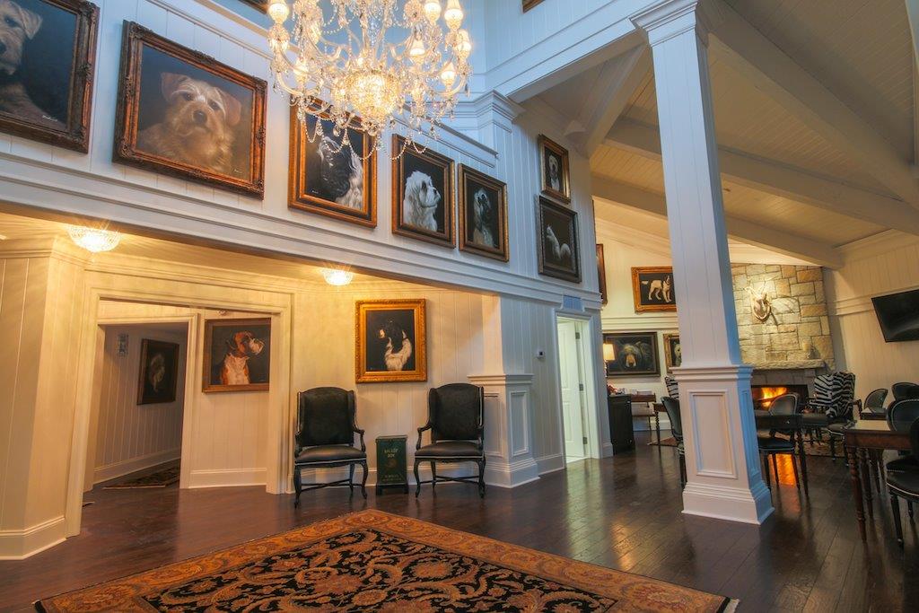 Dog Friendly Hotel in Highlands NC The Park on Main