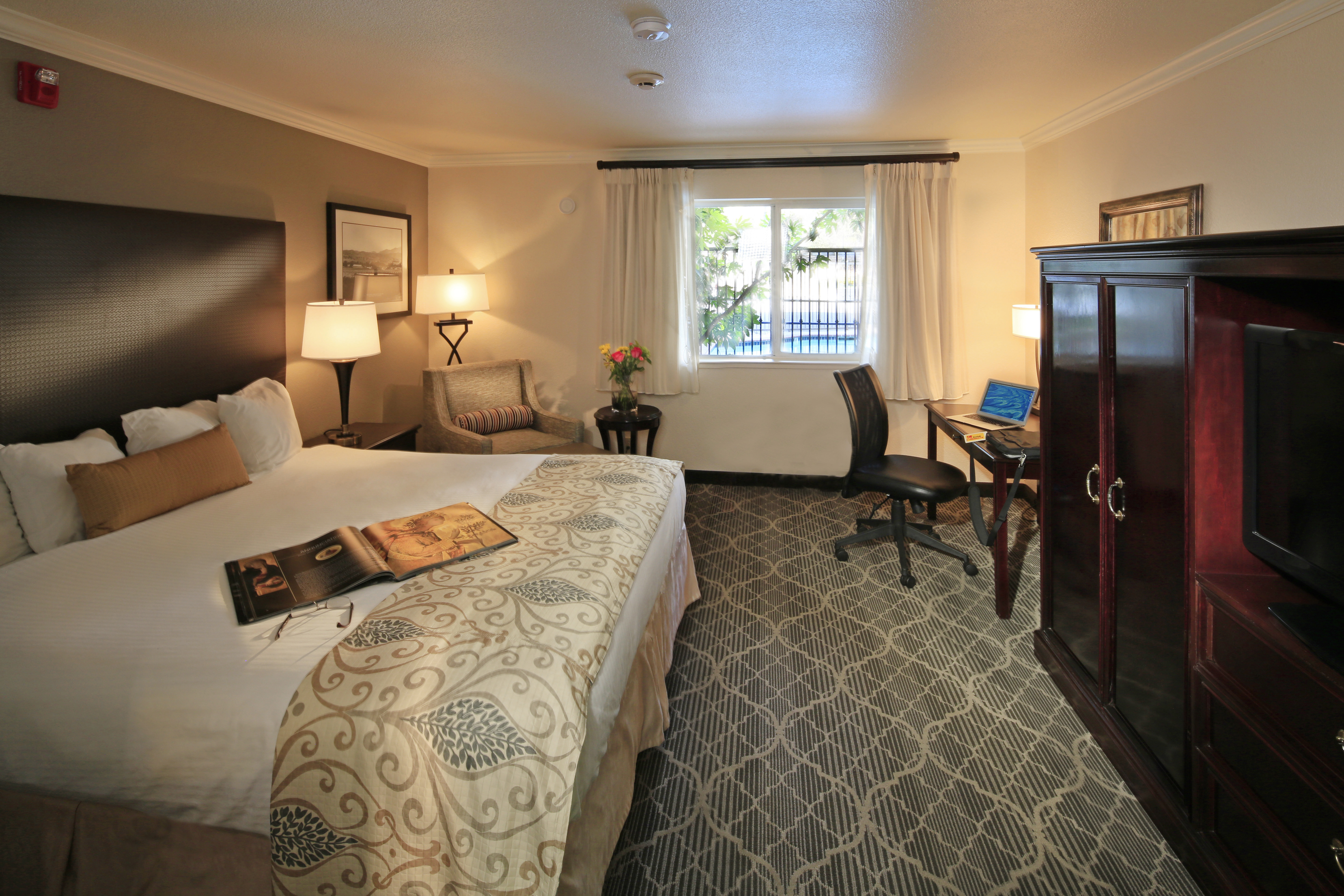 Danville Ca Lodging Best Western Sycamore Inn Room