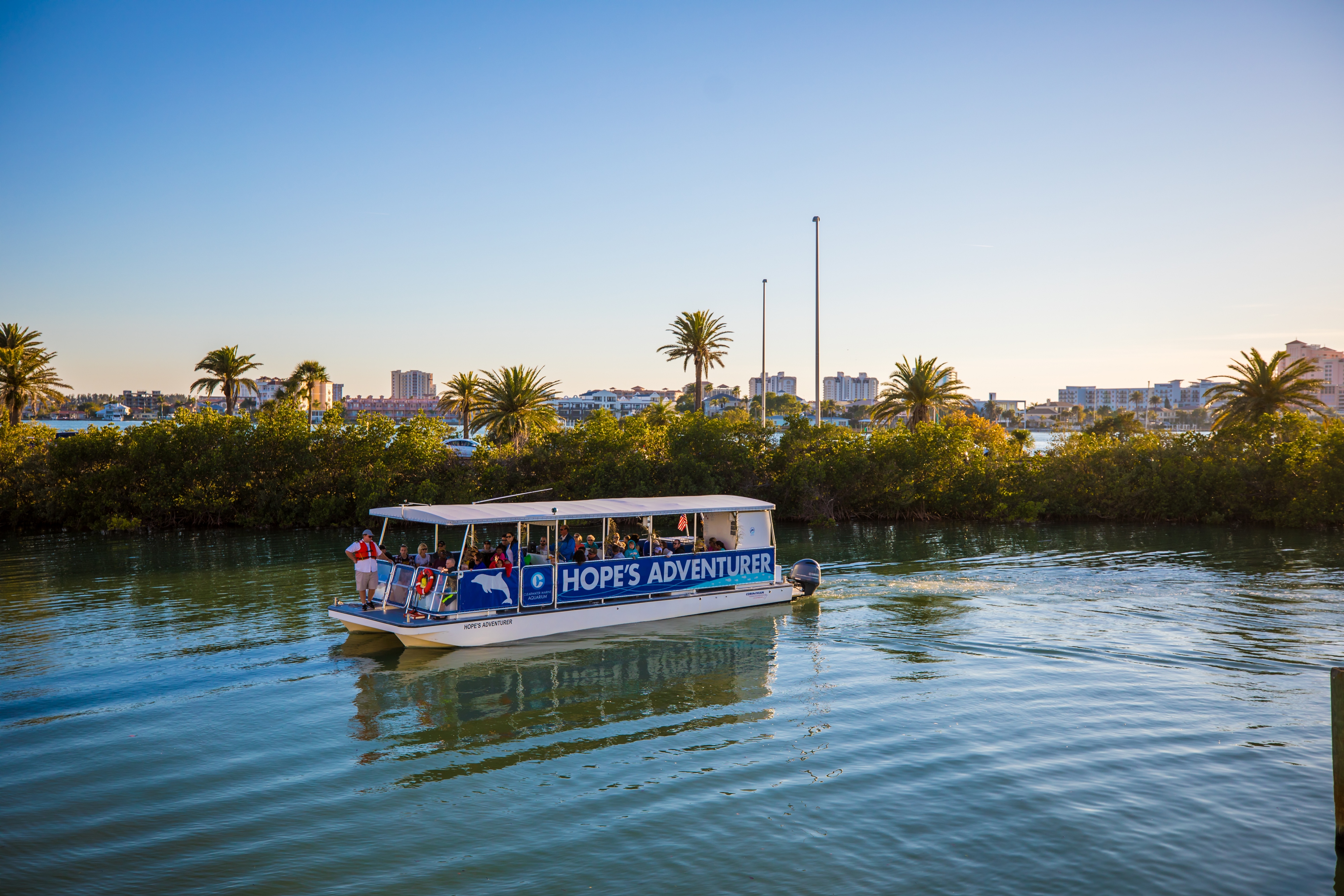 hotels close to clearwater marine aquarium hotels close to clearwater marine aquarium