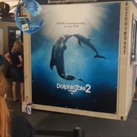 Real Dolphin Tale! Must See Before Visiting Clearwater Marine Aquarium