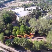 Lowry Park Zoo